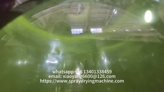 Transforme líquidos em pós de alta qualidade com nossos sistemas avançados de secagem por spray